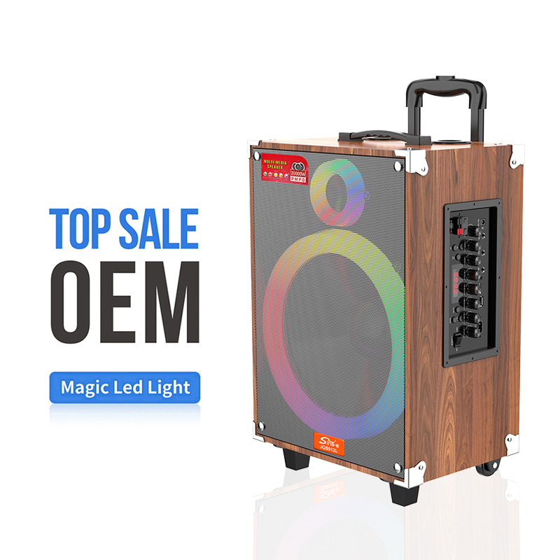 JQS910L Wireless Karaoke - 10 Inch Active Speaker with LED