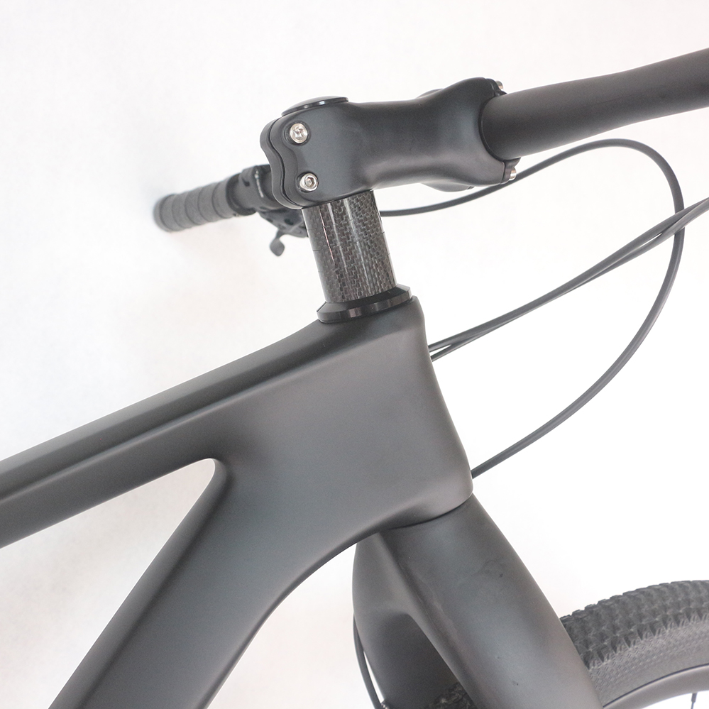 カーボン29er MTB ハードテールバイク FM199 | ディスクブレーキ・12速