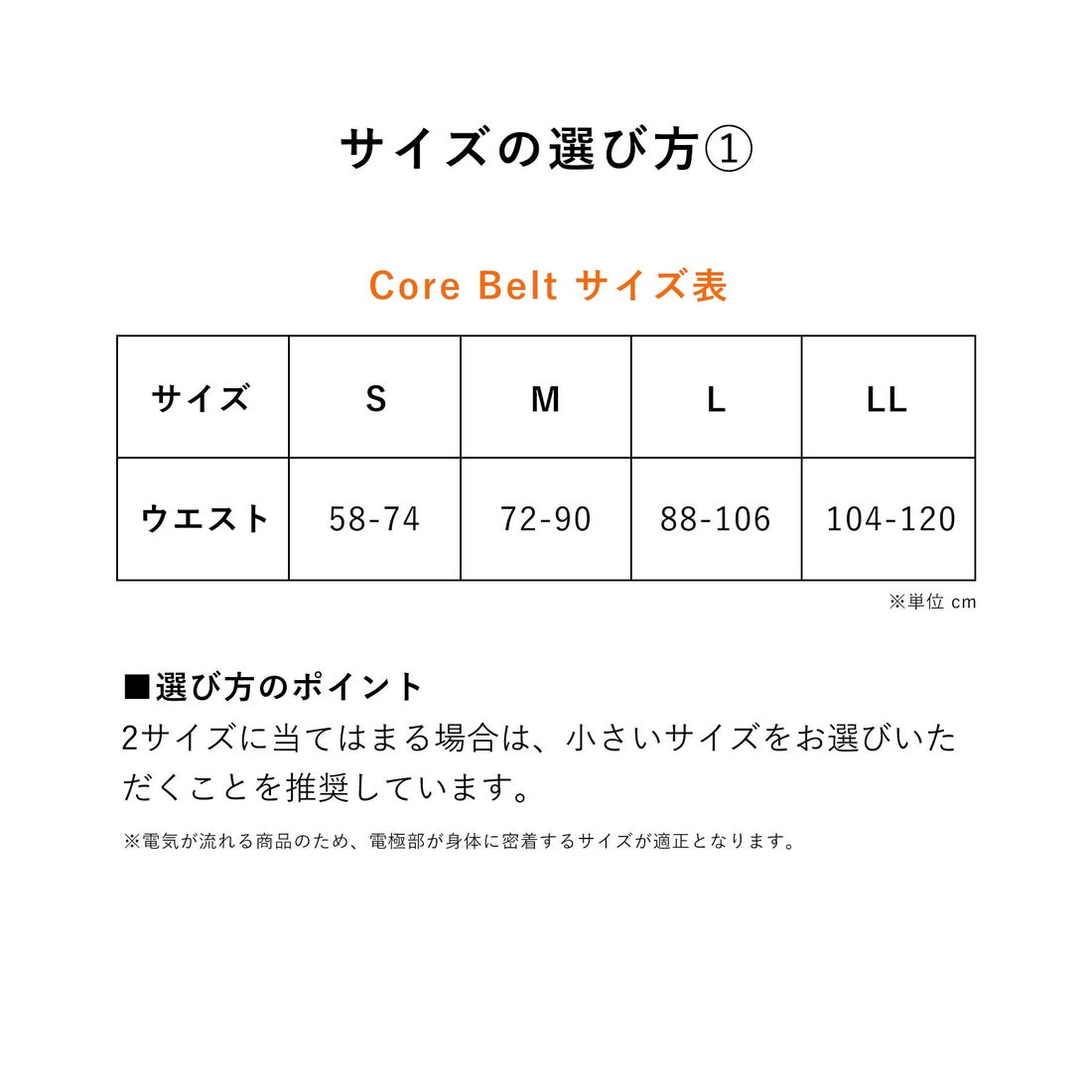 シックスパッド SIXPAD Powersuit CoreBelt L size ※専用