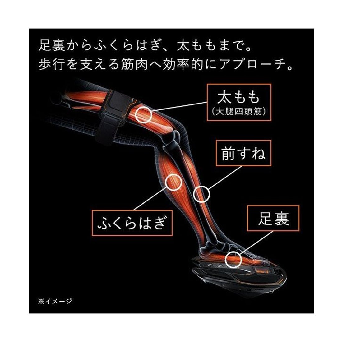 シックスパッド SIXPAD Foot Fit Plus 2 （その他） - ファッション