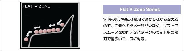 FVS – 三和技研工業