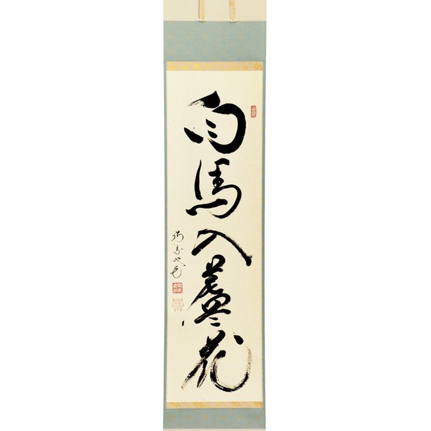 000000012908-01-xl.jpg?t=