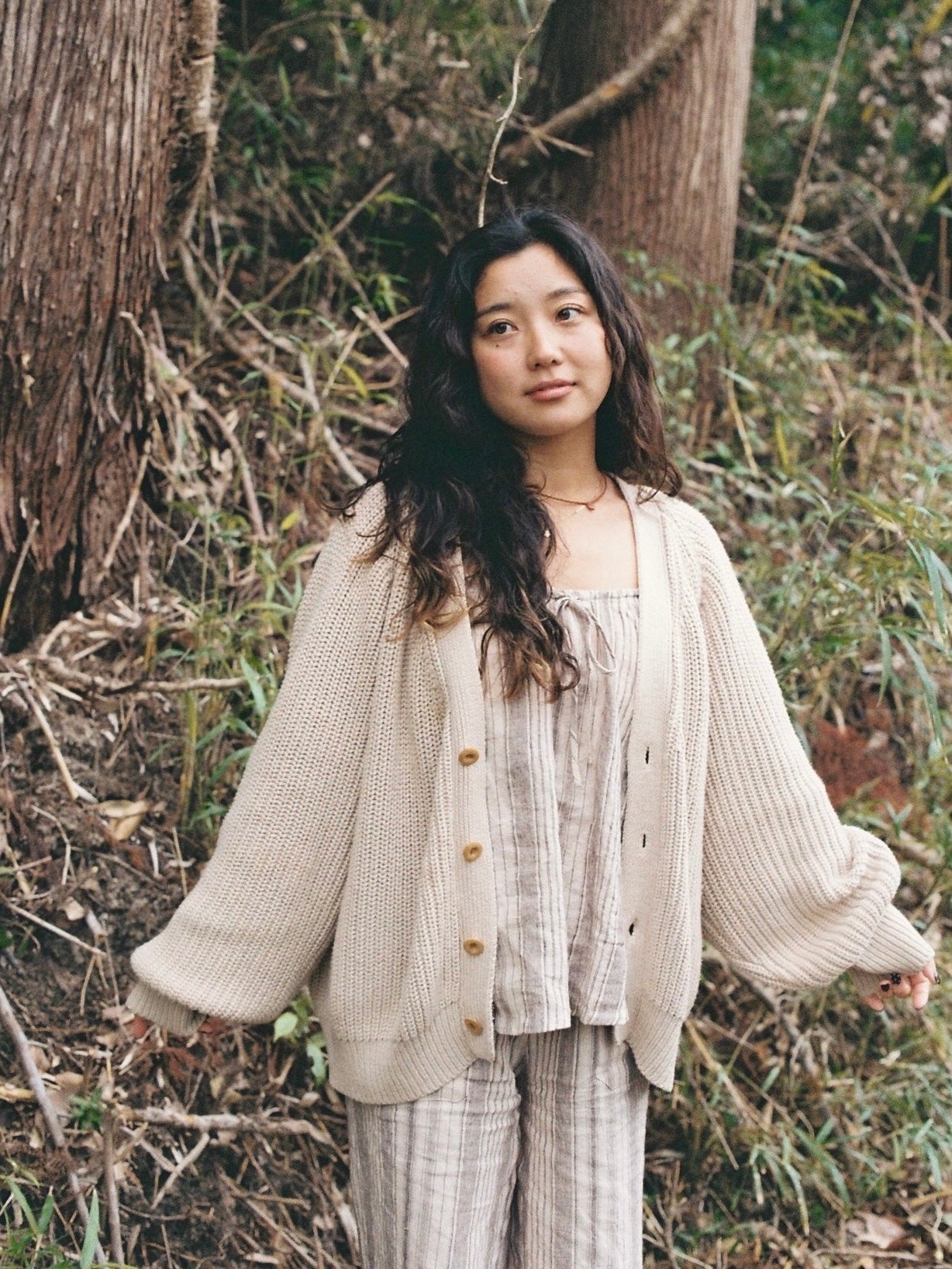 Tops – seed and soil