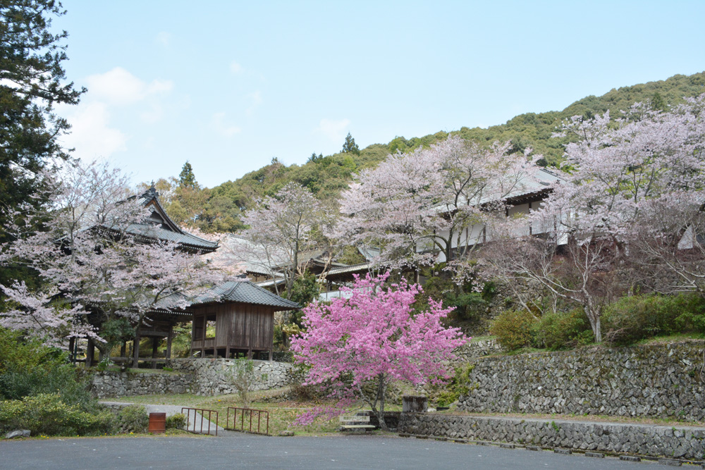 禹門山龍澤寺 - せいよじかん｜一般社団法人西予市観光物産協会｜四国