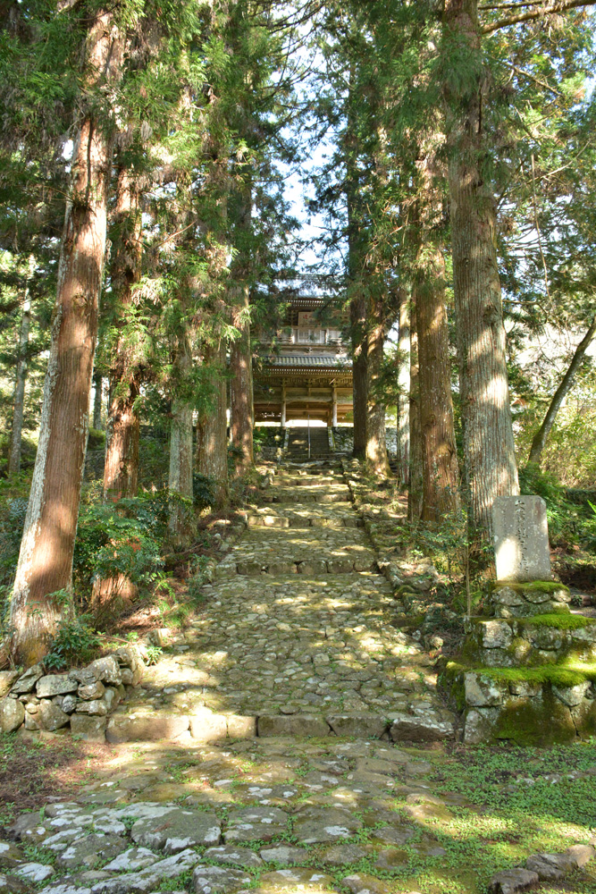 禹門山龍澤寺 - せいよじかん｜一般社団法人西予市観光物産協会｜四国
