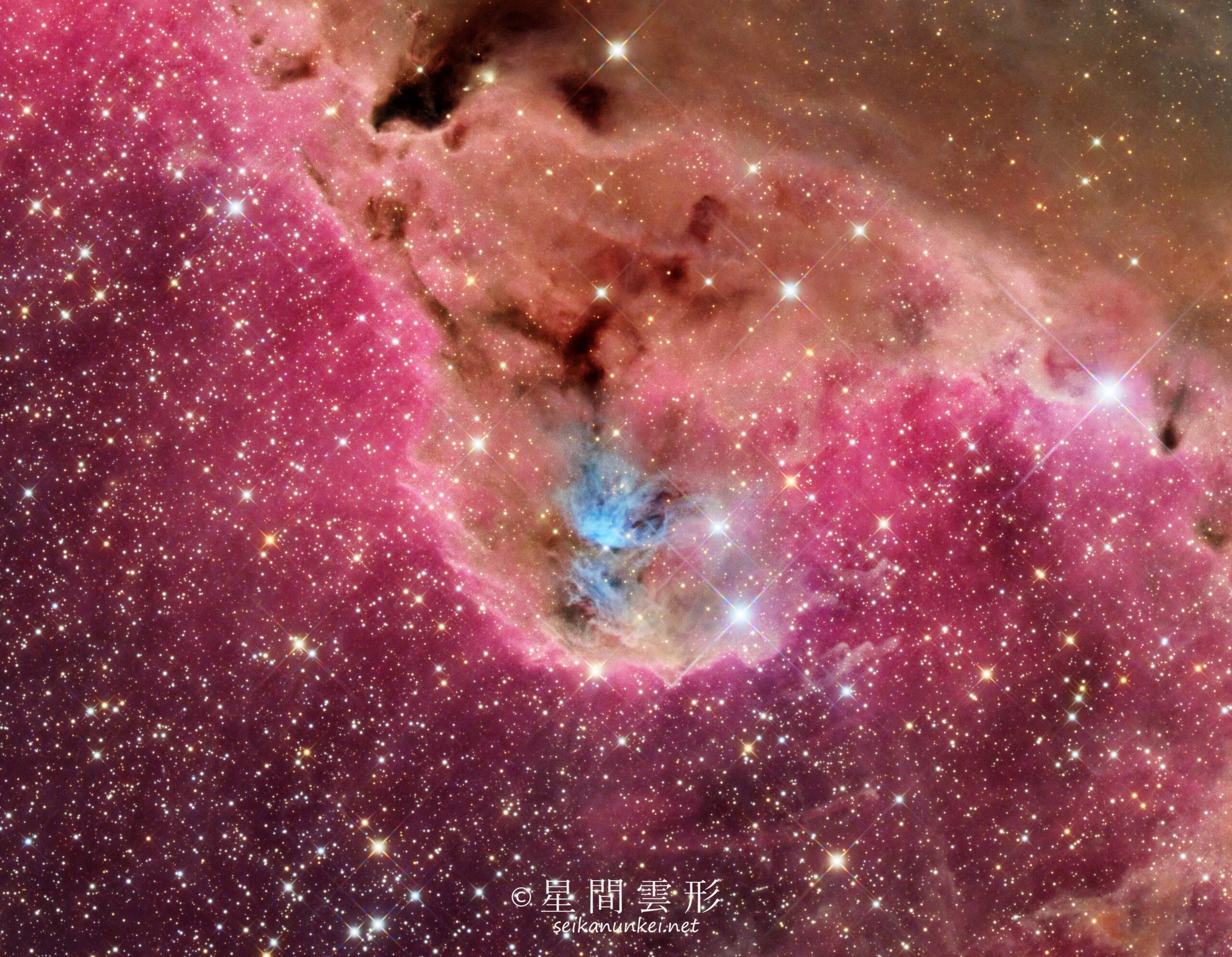 オリオン座 Ced51 - 星間雲形 - SEIKANUNKEI.NET