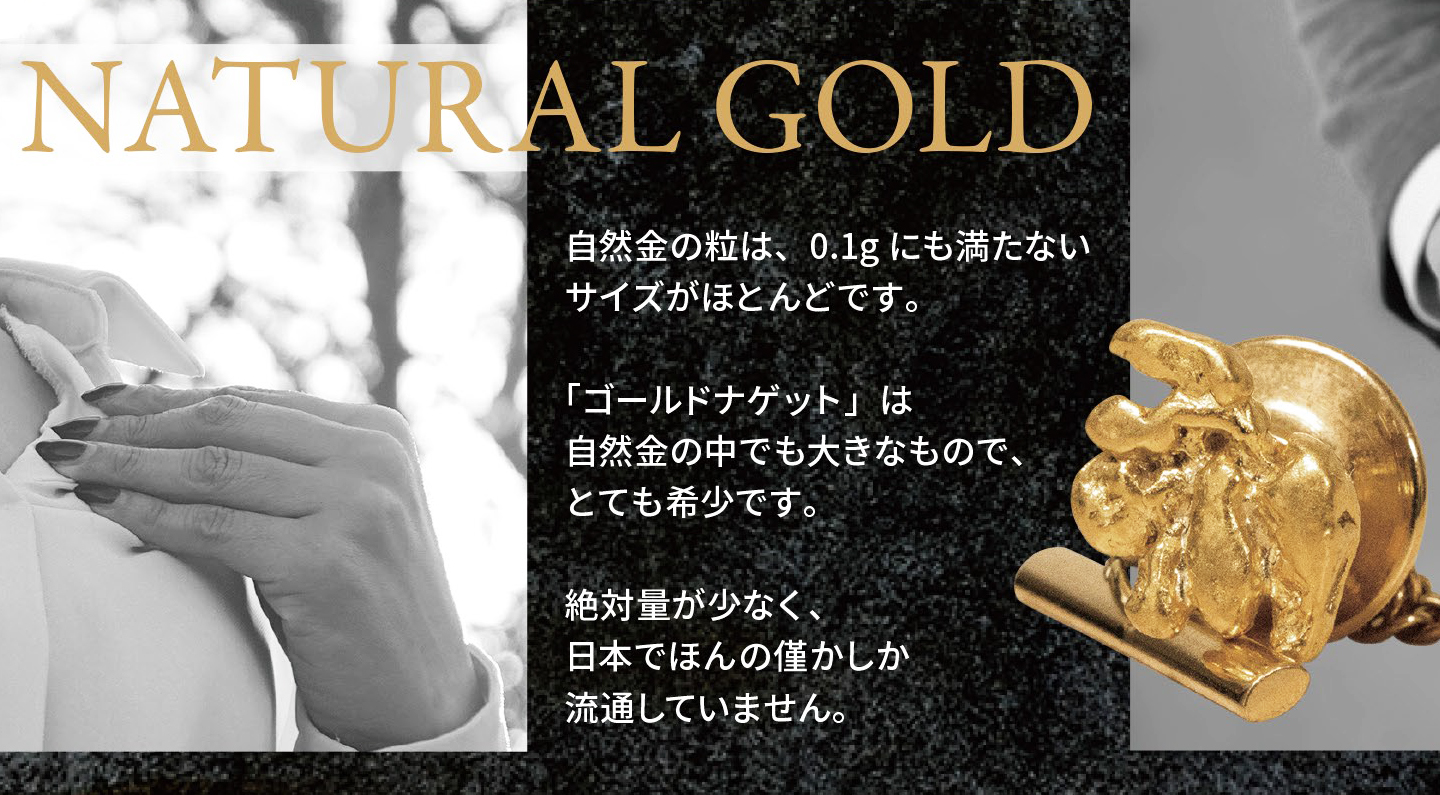 世界最大のナゲット。 - 精光堂 イオンタウン姶良店