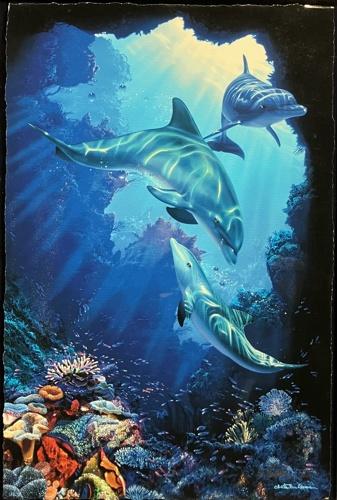 オルカイヴ | ｜正光画廊