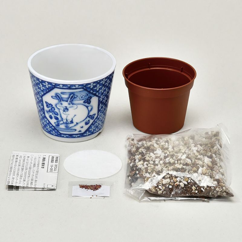 古伊万里 青磁 染付 六寸皿 江戸時代 鎬 金直し 金継ぎ 骨董