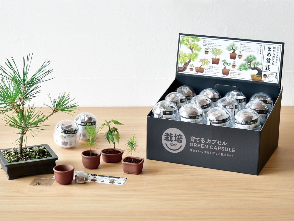 育てるカプセル まめ盆栽 - 聖新陶芸株式会社｜栽培キットの企画・製造