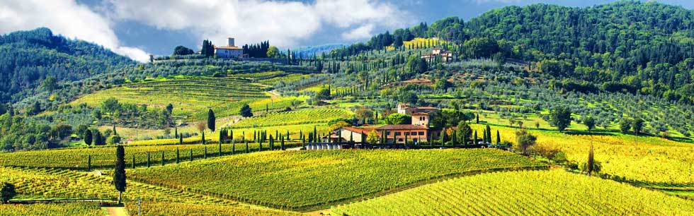 Turley - Zinfandel Dragon Vineyard - Serendipity Wines