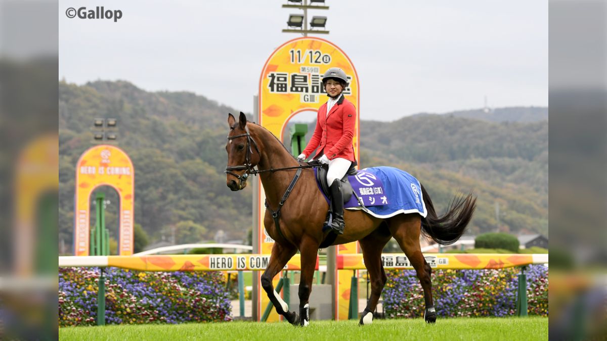 ヨシオ（福島競馬場誘導馬）デビュー戦現地馬券