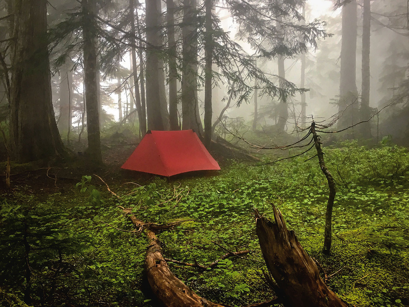 アナリス - Hilleberg（ヒルバーグ）公式サイト by エイアンドエフ