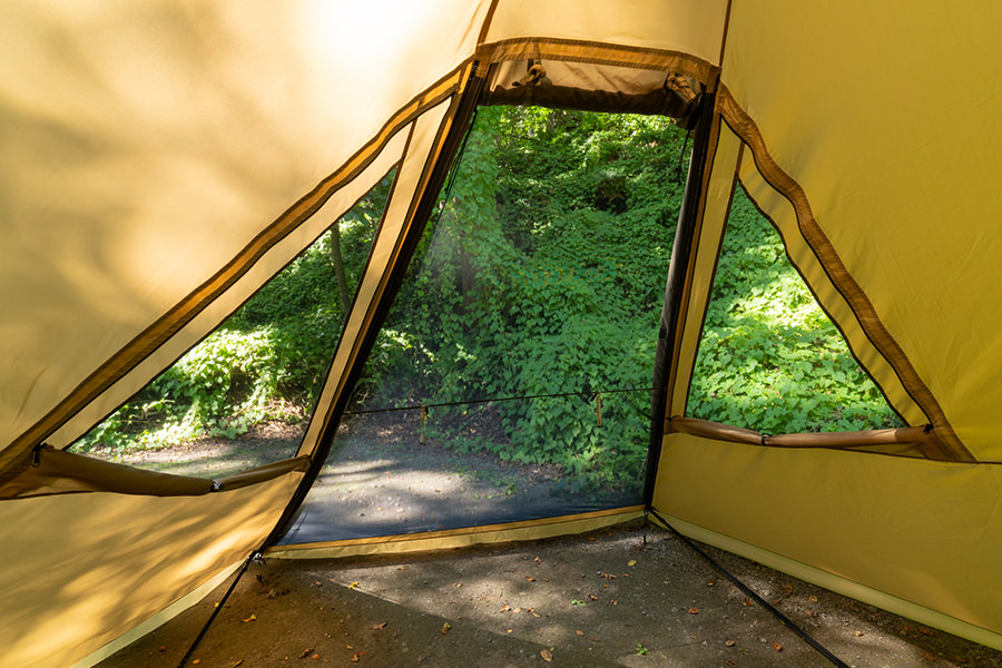 モーニンググローリー シンセティック プラス - 地球の、道具