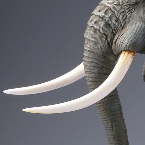 海洋堂 メガソフビアドバンス アフリカゾウ リデコ版｜ホビーの総合