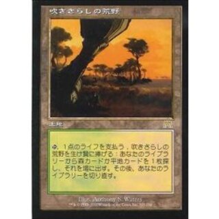 吹きさらしの荒野」の激安通販 | magi