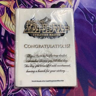 エボリューションマスター スリーブ 未開封の通販 tknr01（1872190224