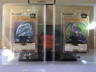 WCS2018」の激安通販 | magi