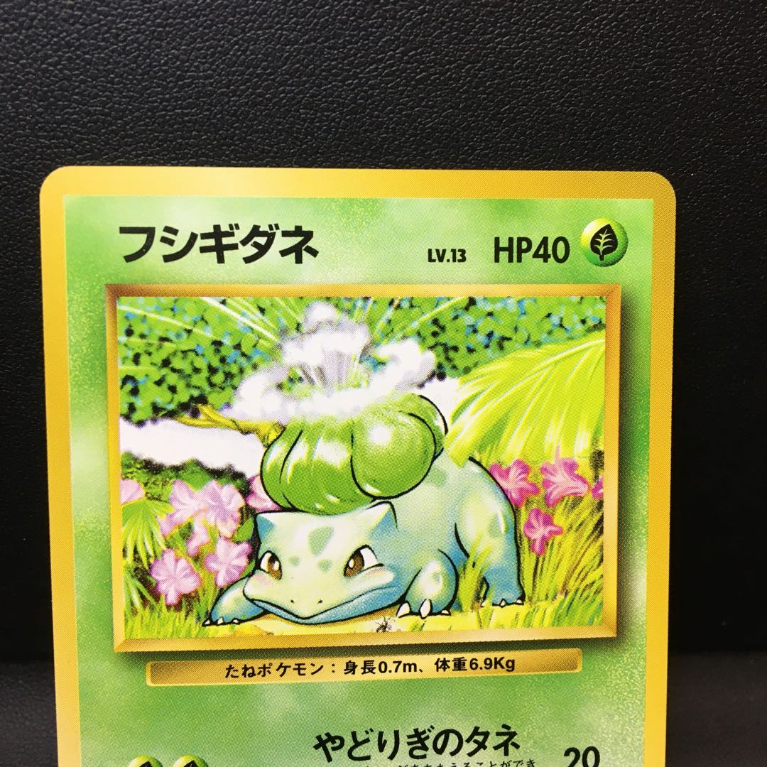 フシギダネ 旧裏 マークなし 1枚の通販 ことぶきや（2125885990） | magi