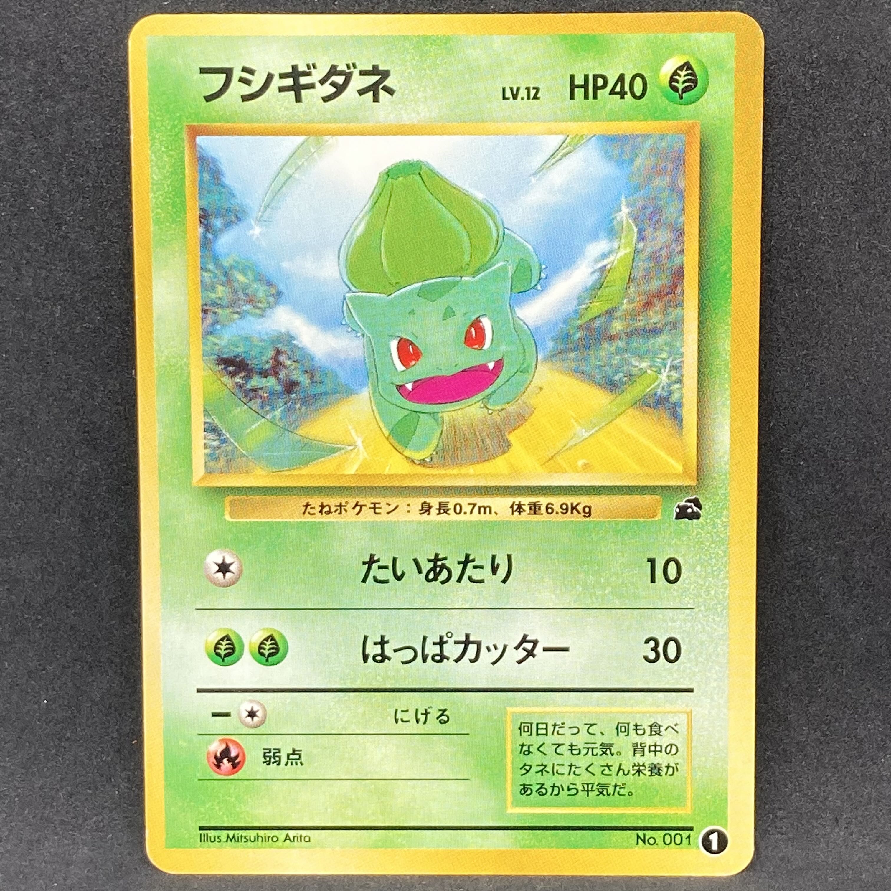 ポケモンカード 旧裏面 フシギダネ イントロパック 1枚の通販 希少商品