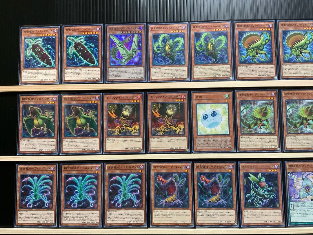 遊戯王 捕食植物デッキ メイン40エクストラ15 スリーブ付 ドラゴスタ