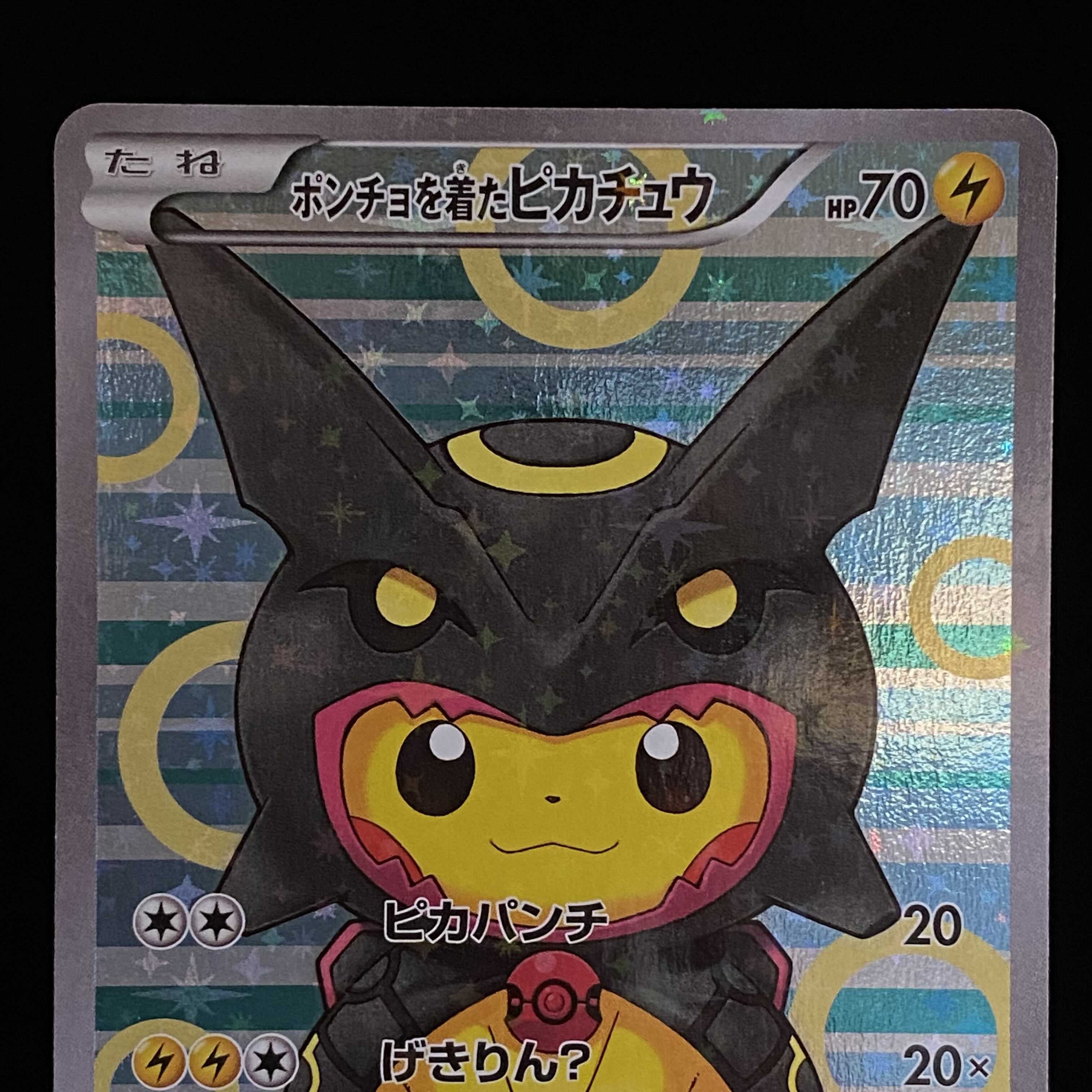 ポンチョを着たピカチュウ レックウザ 色違い 1枚の通販 土日祝休@magi