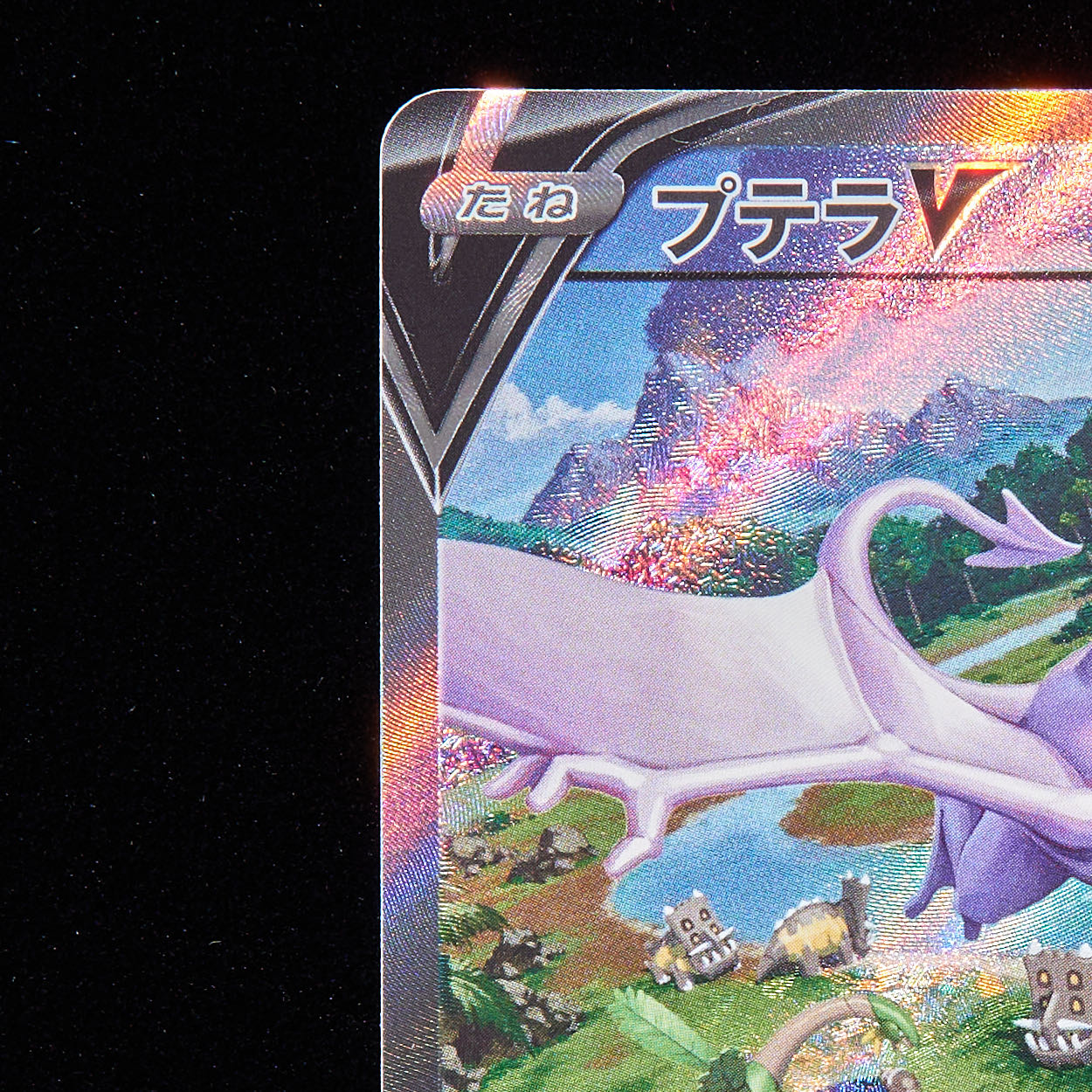 ランクA】ポケモンカード プテラ SA スペシャルアート 1枚の通販 JOKER