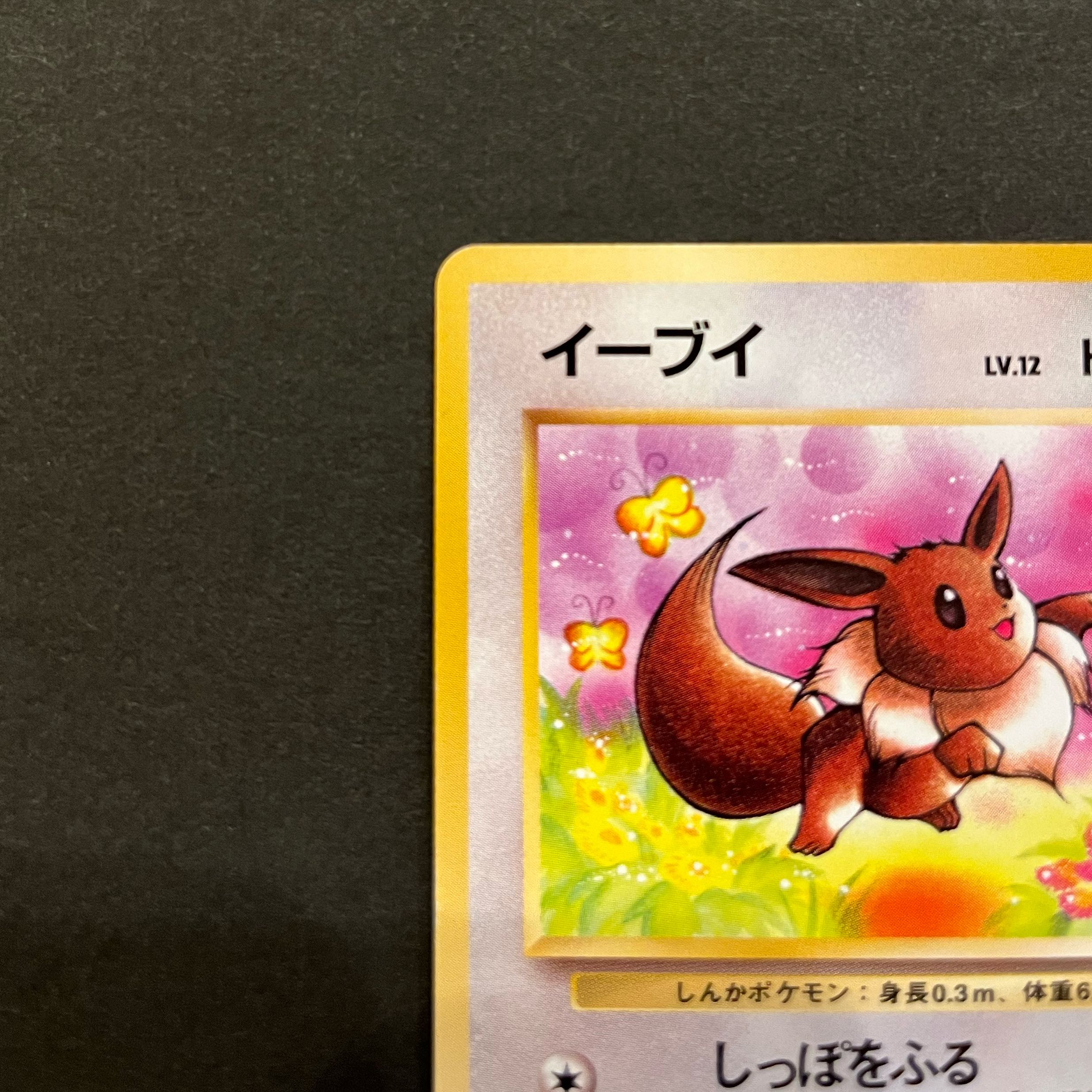 ポケモンカード旧裏 イーブイ 1枚の通販 こあら（656055020） | magi