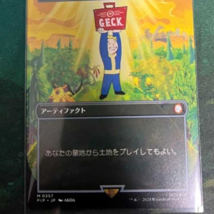 MTG 初版 テンペスト 不毛の大地 日本語 4枚セット MTG 【不毛の大地