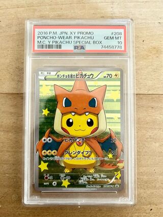 K*s様 ポンチョを着たピカチュウ：ピカチュウのメガキャンペーン第1