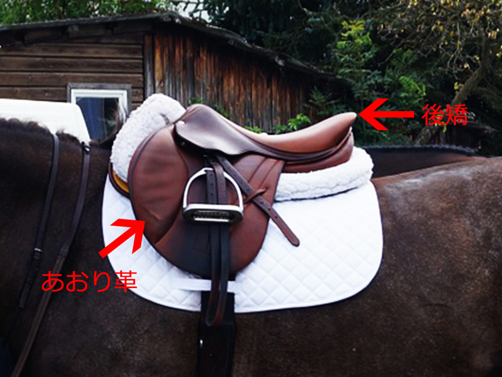 鞍の種類いろいろ | Pacalla（パカラ） | Page 1000