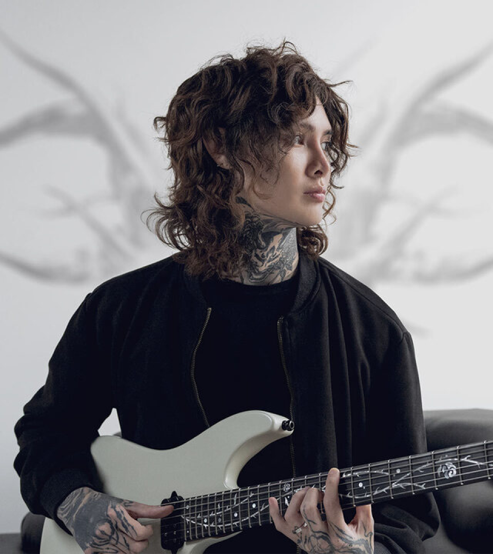 Tim Henson Signature Collection | Ernie Ball