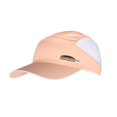 46742_cantal.webp?1694749577