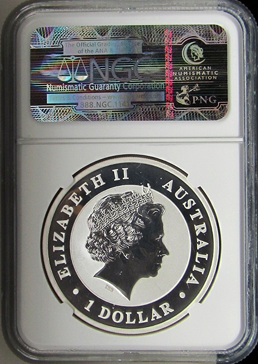 Winning Set Details | NGC