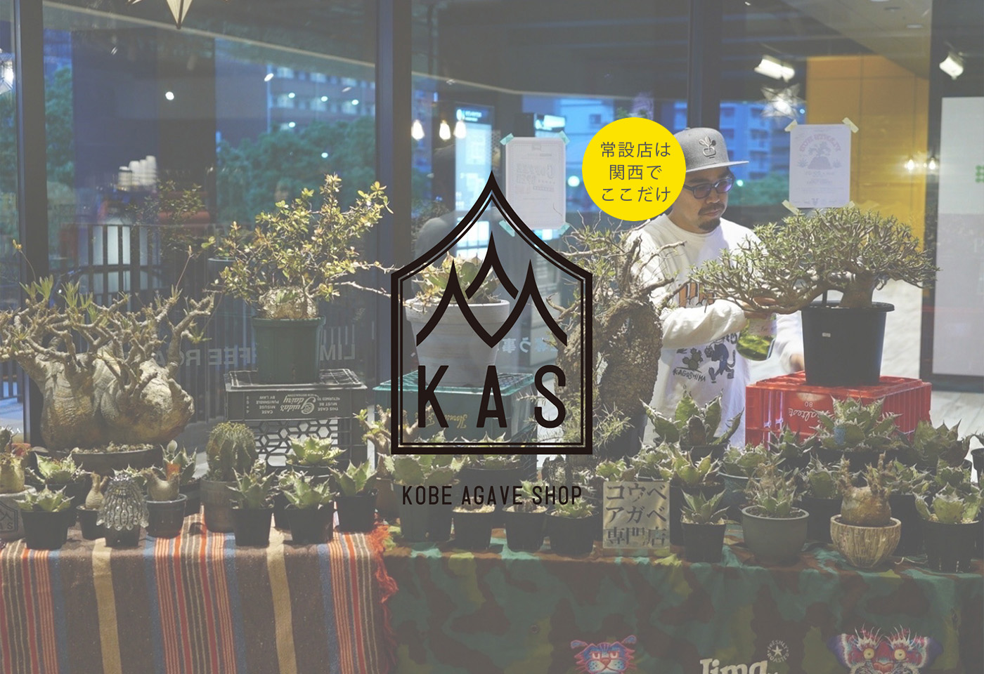 KOBE AGAVE SHOP （神戸アガベショップ） - SMASELL Sustainable Commune
