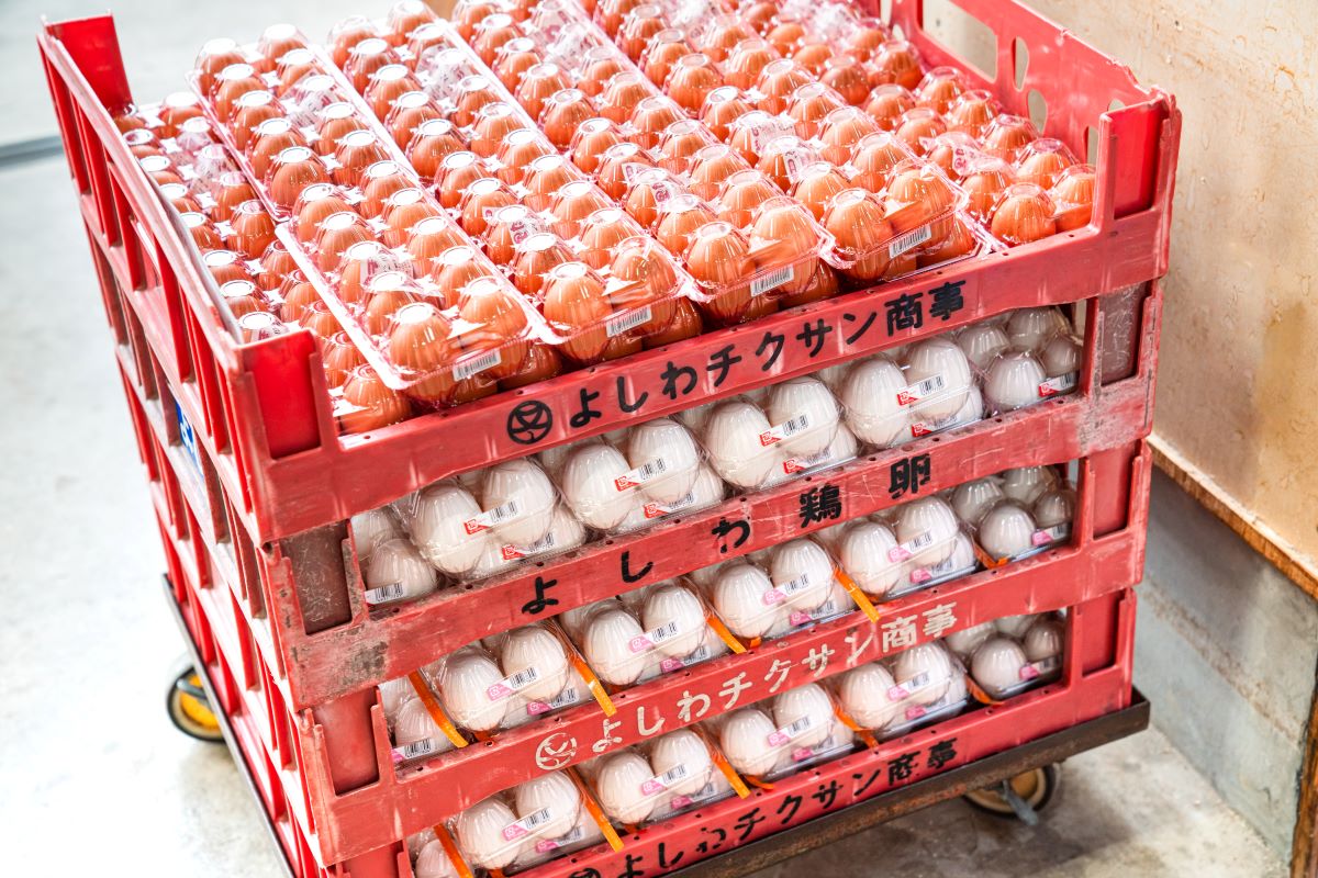 安全で新鮮なたまごをお客様へ。地域に寄り添い、たまごを届ける山口県