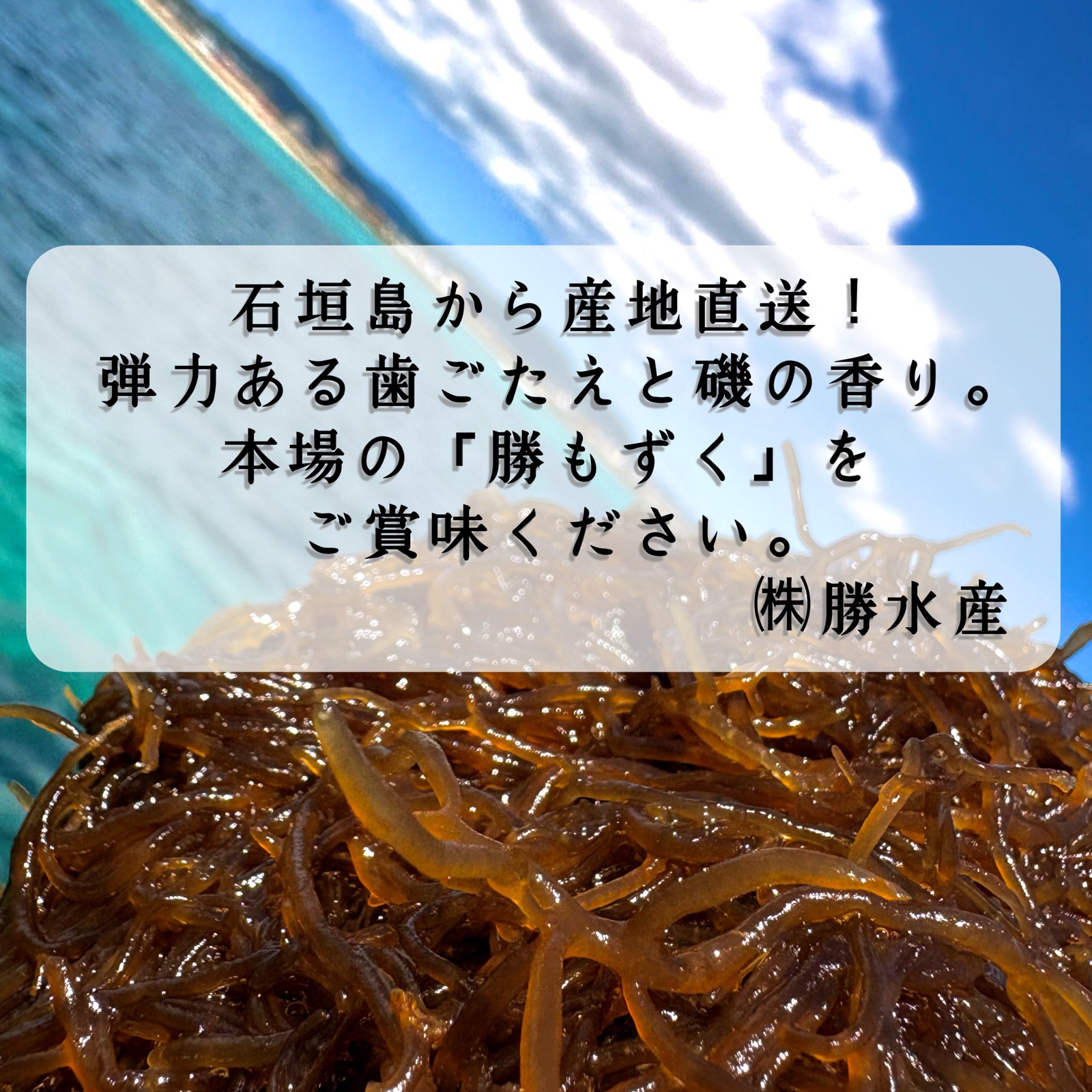 沖縄県石垣島産 ☆塩もずく1kg×3/サイズ:大/クール便送料込み | 魚介類