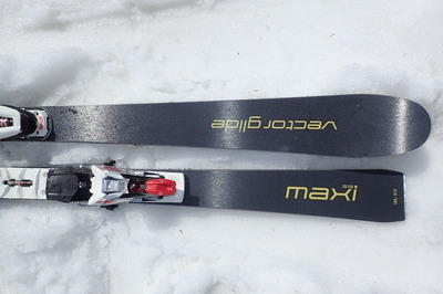 VECTORGLIDEヴェクターグライド MAXI S13│skibum fancy スキーバム