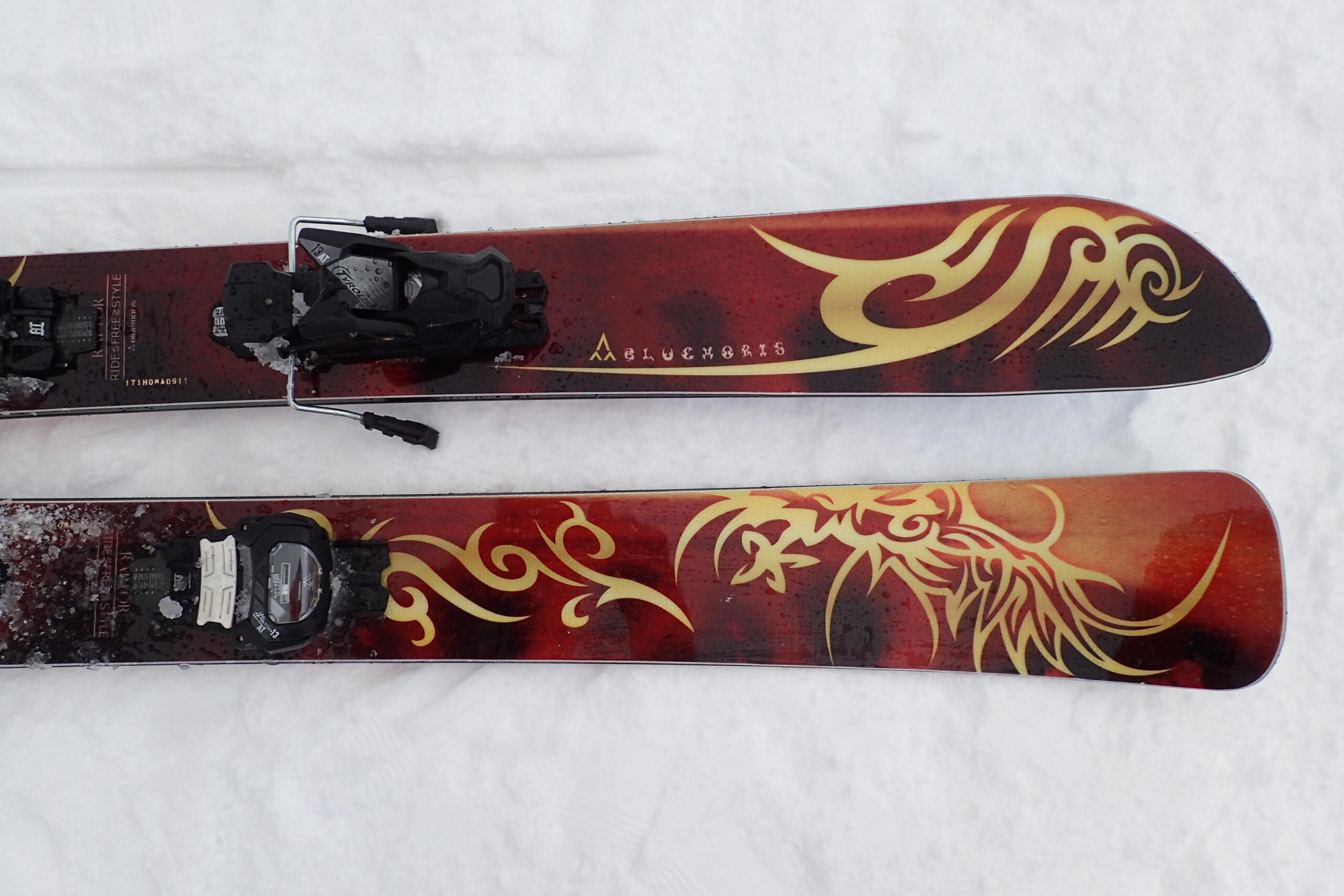 BLUEMORISブルーモリス RAPTORラプター│skibum fancy スキーバム