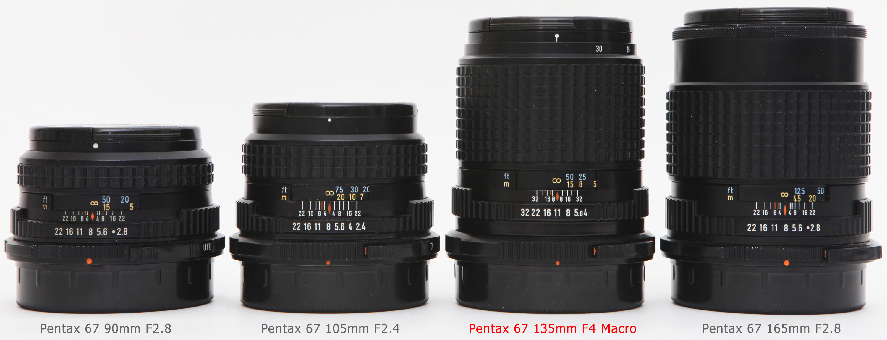Pentax 67 135mm F4 Macro: Lens review, Experience, Sample images