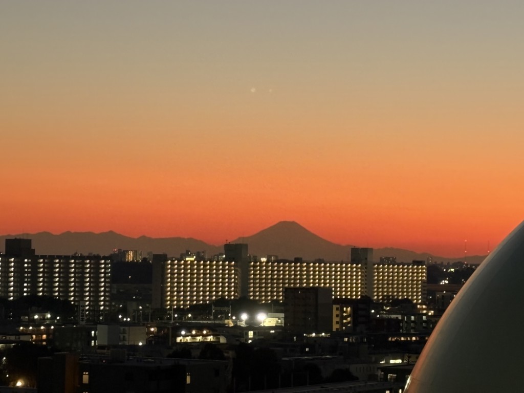 SUKALA】レイヤードタンク＆レギンスセットアップ(S・Mサイズ ミニー