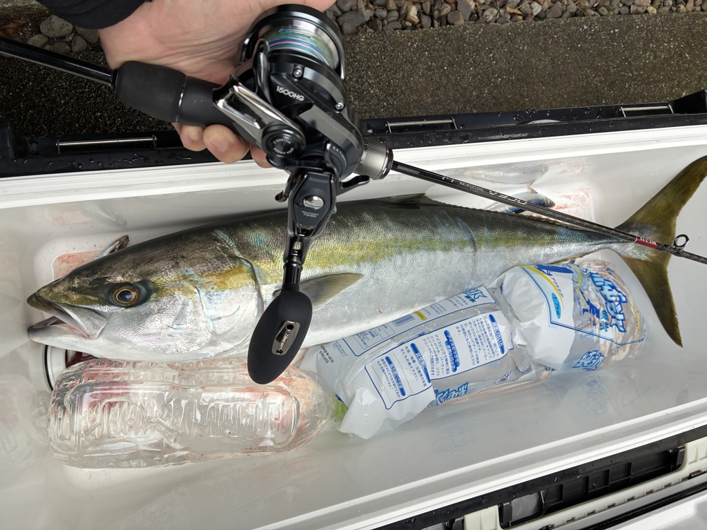 シマノ オシアジガー F カスタム 1500HG(右) - 釣具のポイント 【公式