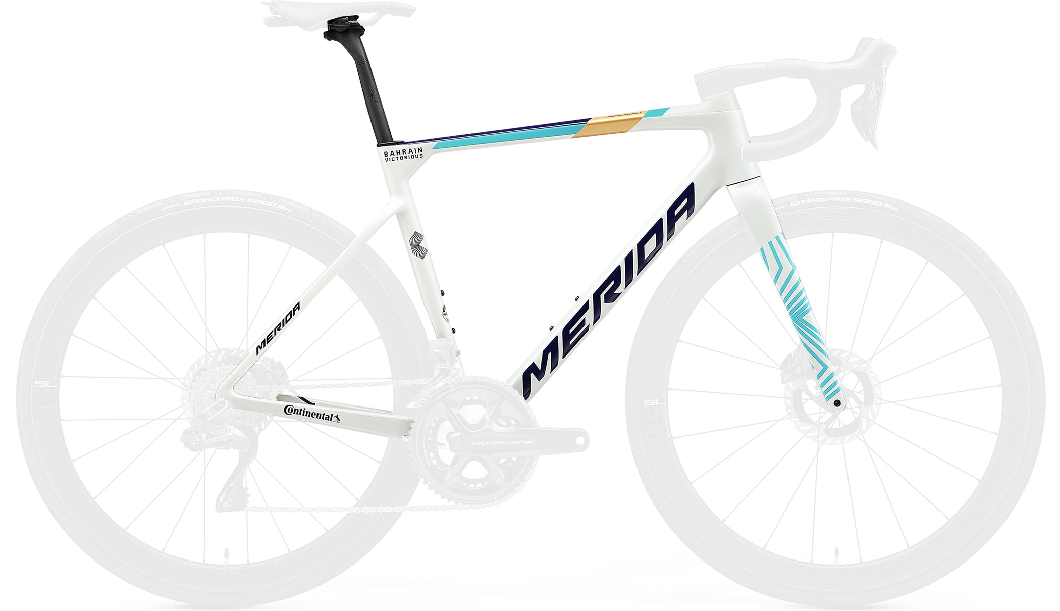 SCULTURA TEAM FRAME SET（スクルトゥーラ チーム フレーム セット