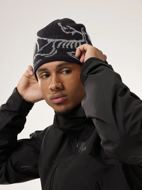 Bird Head Toque #Black/Void [X00000675615]｜ARC'TERYX – moderate
