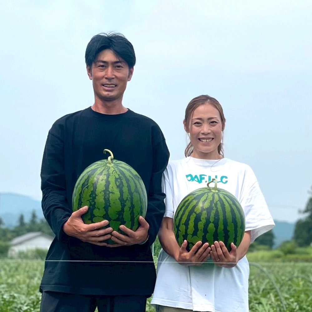 衝撃の糖度13～14度‼】極上の甘さとみずみずしさ｜干ばつに負けず毎日