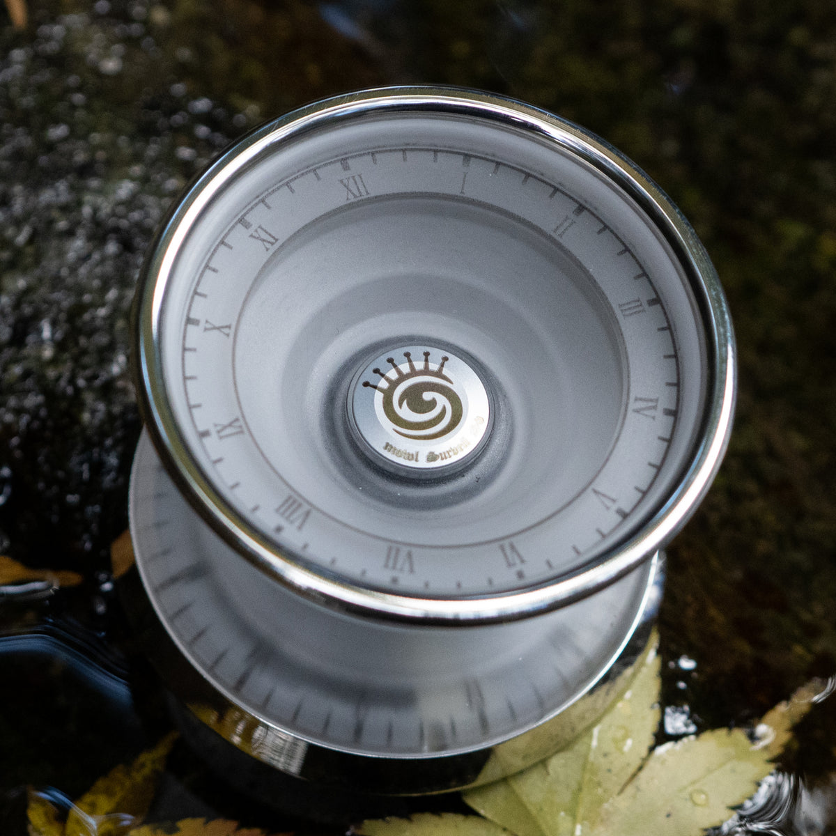 Surveillance – mowl