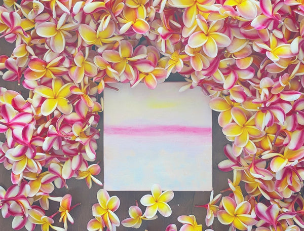 山崎美弥子の惑星日記｜YAMAZAKI MIYAKO Planet Journal – Numero CLOSET