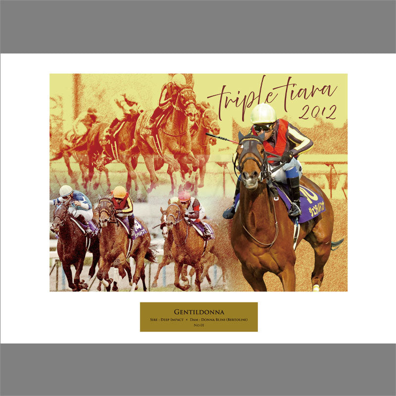 ジェンティルドンナ・オリジナル写真パネル｜netkeiba