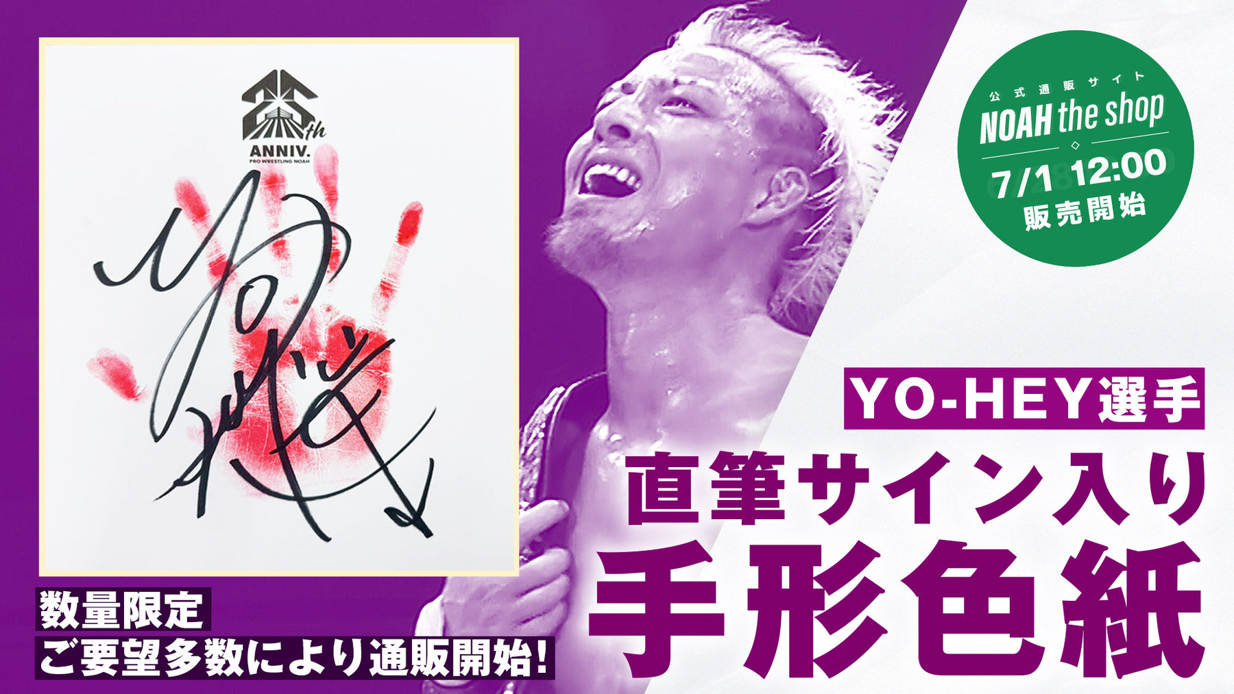 数量限定】選手直筆サイン入り手形色紙