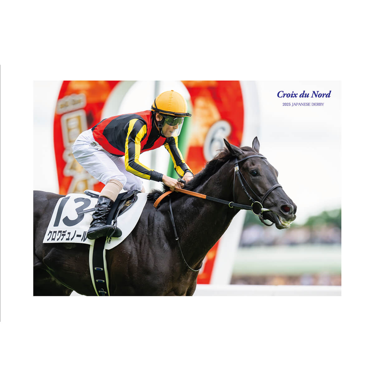 オリジナルポストカード クロワデュノール 日本ダービー2025 - 競馬